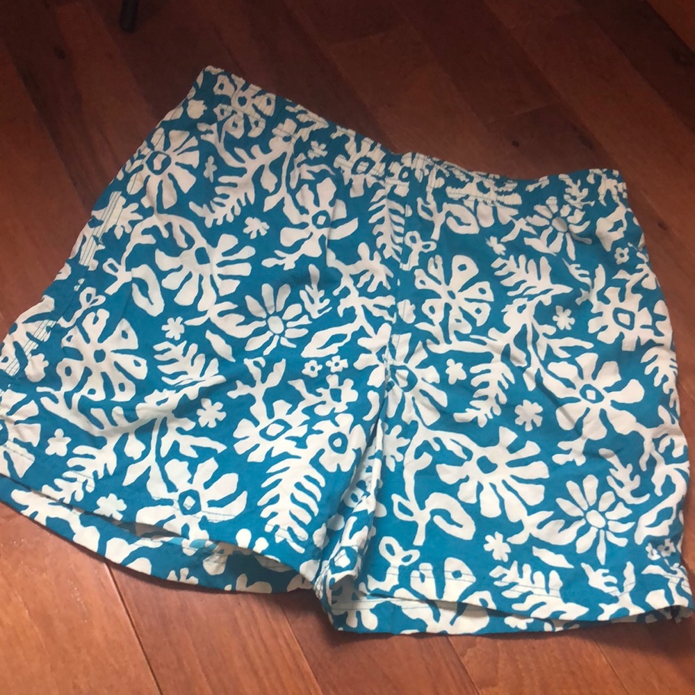 Lands End Swim Shorts